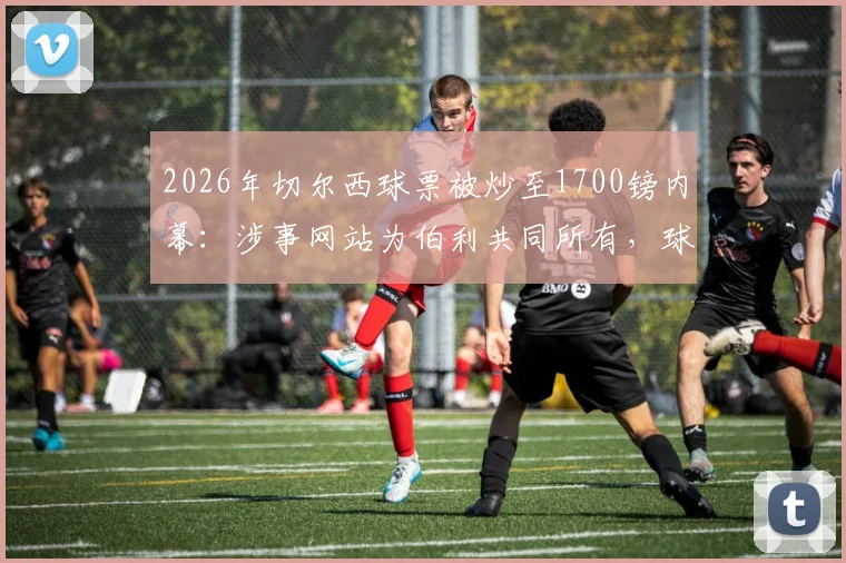 2026年切尔西球票被炒至1700镑内幕：涉事网站为伯利共同所有，球迷如何应对高价票与利益冲突问题指南